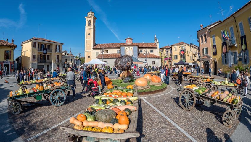 PIOZZO